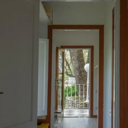 Argia Villa *